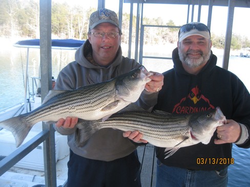 Nice Striped Bass